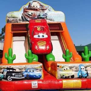 Water Slide Liquidation Pallet